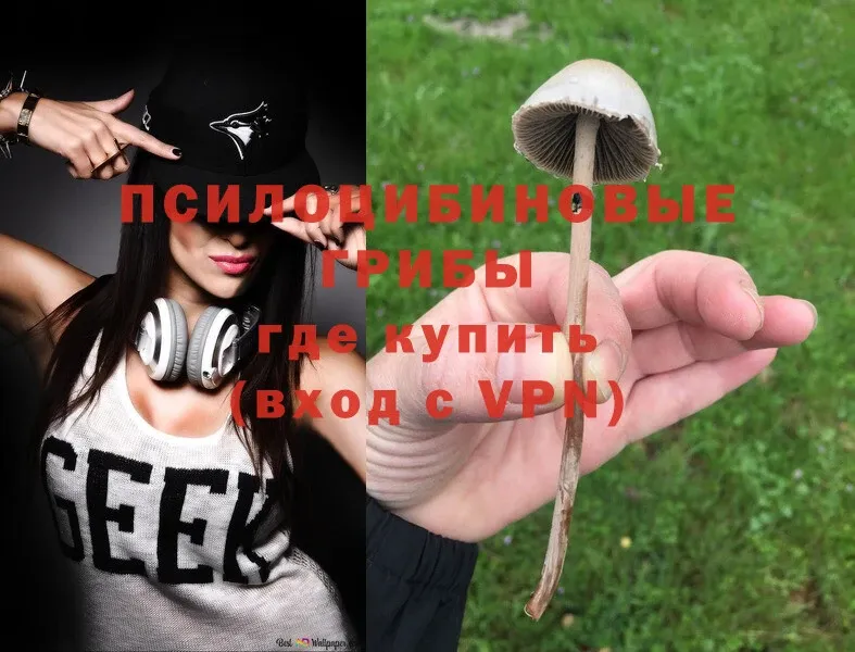 Галлюциногенные грибы Magic Shrooms  где купить наркоту  Задонск 